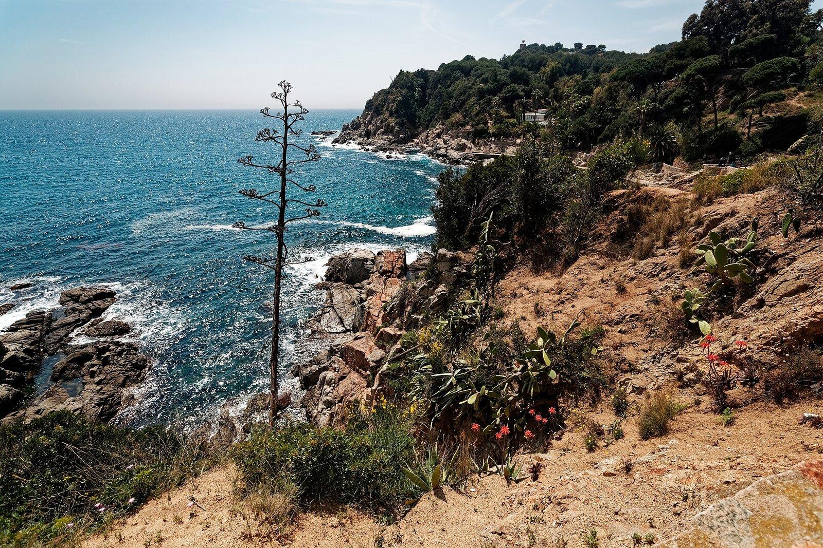 Hikers Camí de Ronda Costa Brava
