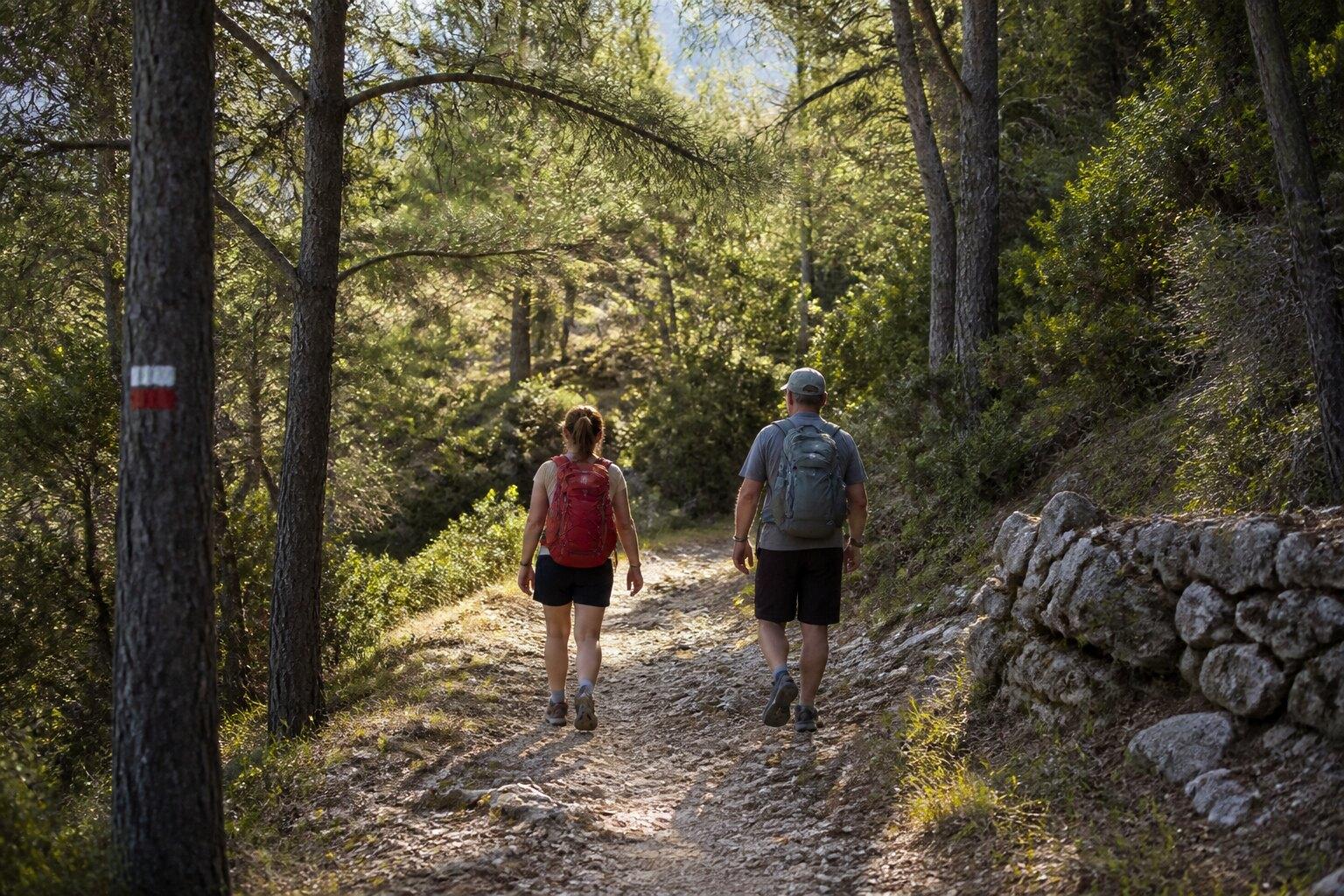 Hikers on a marked forest path in the Solsonès